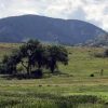 Lavish Living in Ravenna- The Most Desired Community in Littleton, Colorado slide-new-south-valley-park