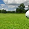 Denver Country Club Homes For Sale Market Update denver country club homes for sale