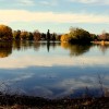 Tips for Identifying a Good Deal with Washington Park Real Estate Washington Park Denver Homes for Sale