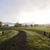 Metro Denver Luxury Homes February Seller Tips Colorado Horse Properties