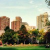 How Do Real Estate Trends Affect Your Purchase of a Home? Slide-New-Denver-From-Auraria