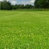 Find Incredible Charm at Park Hill slide-New-GOLF