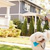 The Pandemic’s Effects on Real Estate, Metro Denver Market Report, 11/19/2020 slide-girl-walking-dog